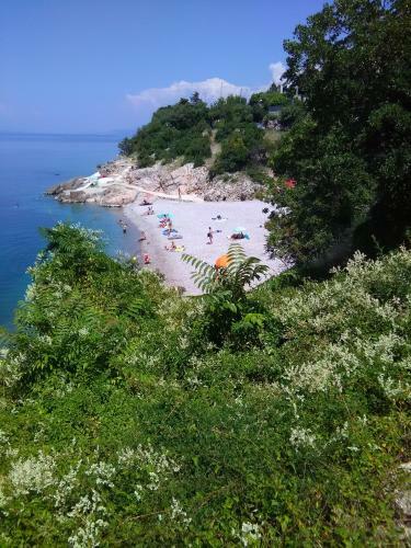 Apartamentos App On Beach