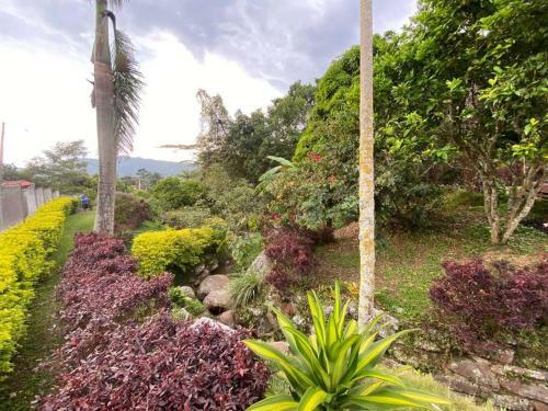 Finca Privada Con Excelente Clima, Rio Natural, Wifi Y Piscina
