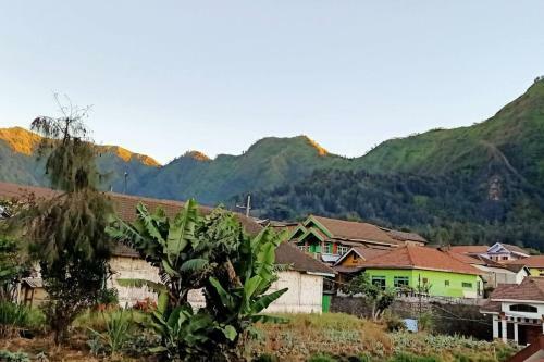 Homestay Mbak Sulis Bromo