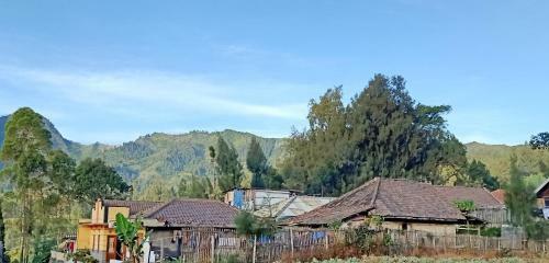 Homestay Mbak Sulis Bromo