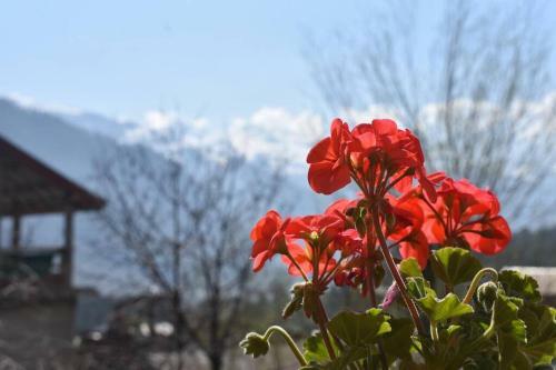 Apartamento Cherry House