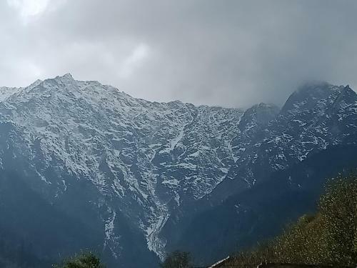 Solang Valley Camp