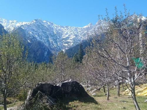 Solang Valley Camp