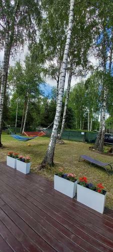 Domki Holenderskie Mazury Leleszki