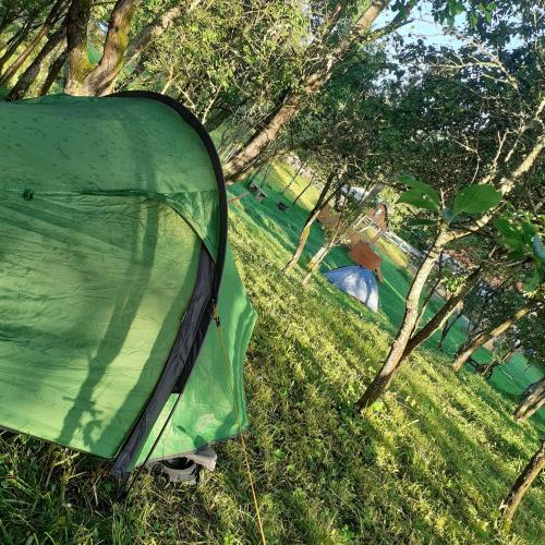 Hostal Room In Bb - Camping Retreat In A Rural Way
