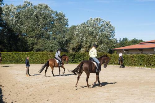 Heidegut Eschede Reitsportanlage Und Feriendorf