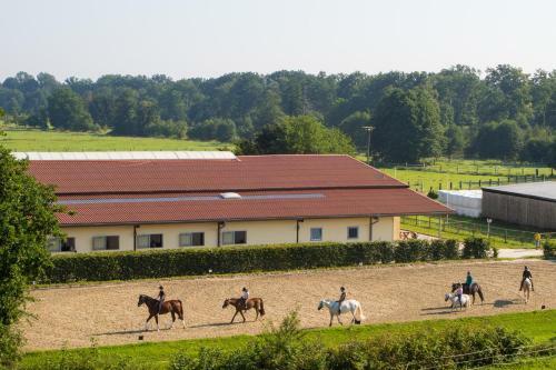 Heidegut Eschede Reitsportanlage Und Feriendorf