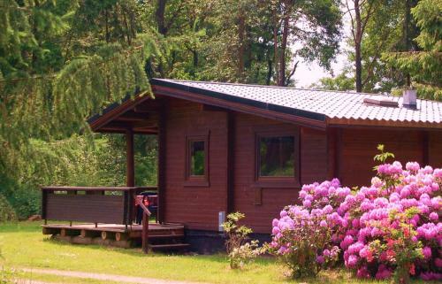 Heidegut Eschede Reitsportanlage Und Feriendorf