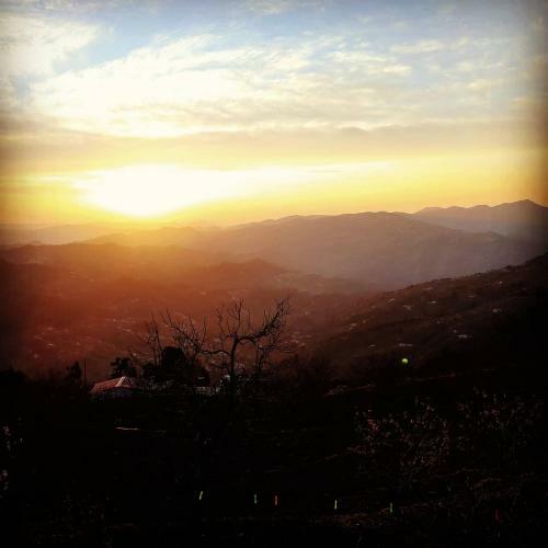 Hilltop Retreat Mukteshwar Homestay