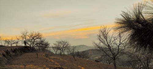 Hilltop Retreat Mukteshwar Homestay