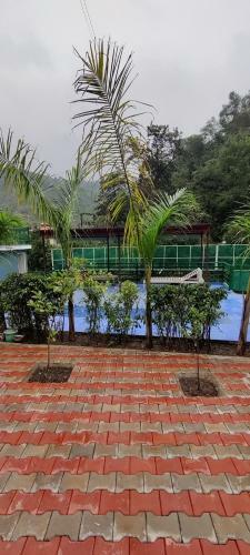 Riverdale-kasauli.swimming Pool,rain Dance,bonfire