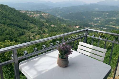 Apartamento La Terrazza Sulle Apuane