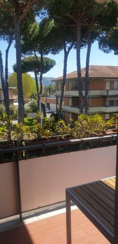 Apartamento Carachouse-lido Di Camaiore, Tra Pini Marini E Mare