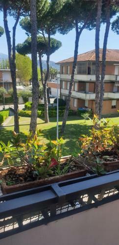 Apartamento Carachouse-lido Di Camaiore, Tra Pini Marini E Mare