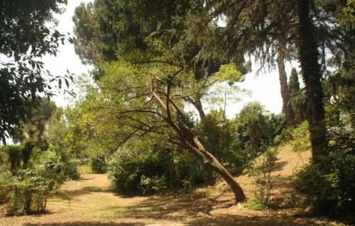 Villa Valeria Versilia