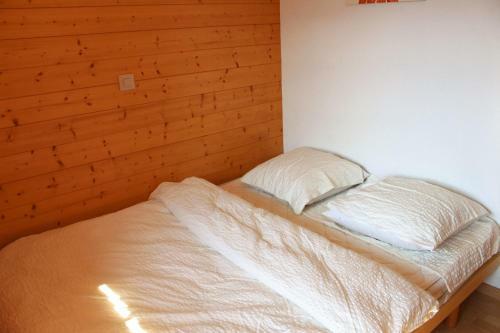 Chalet Amos