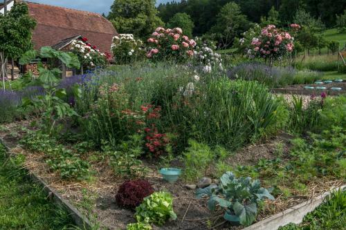 Bed & Breakfast Hagschnurer Sch��r