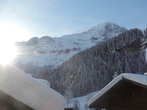 Apartamentos Chalet Schwendiboden