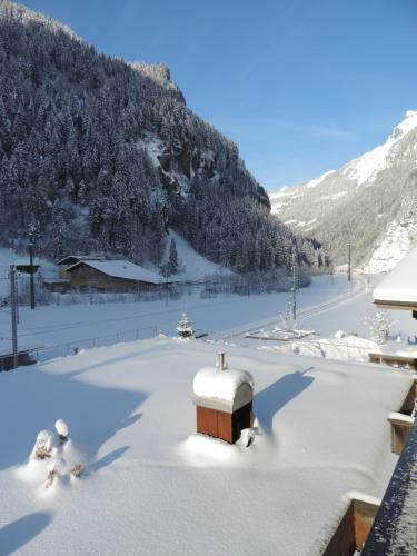 Apartamentos Chalet Schwendiboden