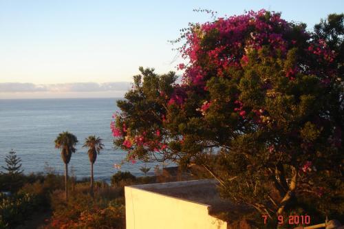 Apartments Finca El Rinc�n