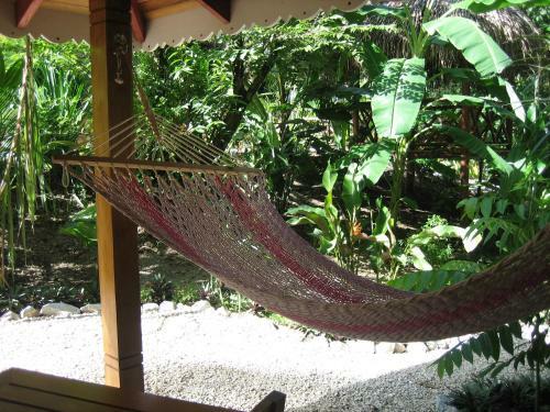 Hotel El Peque�o Gecko Verde