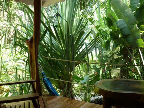 Hotel El Peque�o Gecko Verde