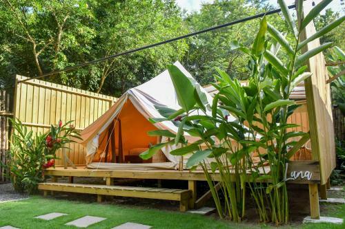 Seren Glamping