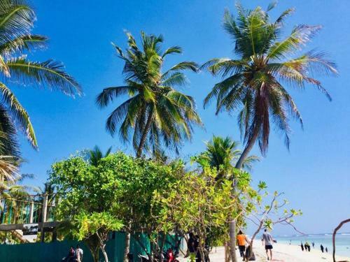 Apartamento Big Vacation House Close To White Sandy Beach