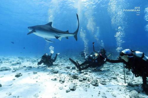 Hotel Viluxer Retreat & Dive Maldives
