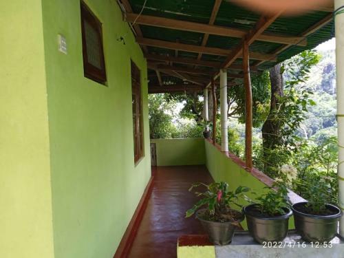 Blue Night Homestay