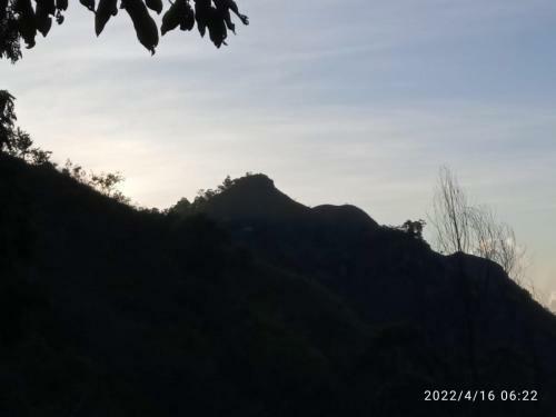 Blue Night Homestay