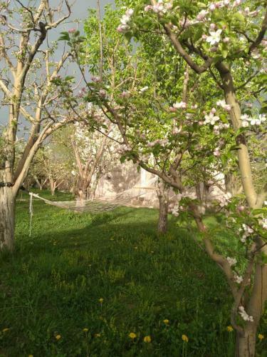 Barseghyans Family Guest House