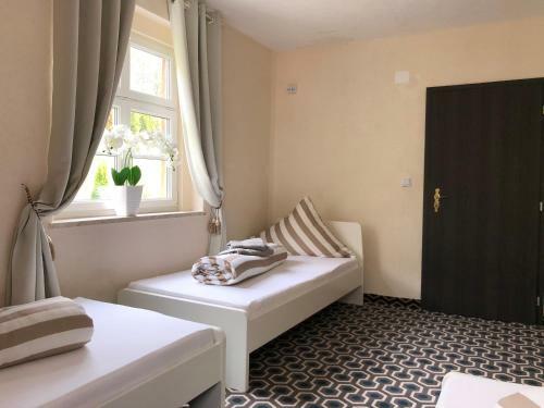 Apartamento Goldenesvogtland Fewo&monteurzimmer