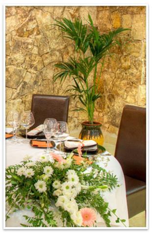 Hotel Coto Del Valle De Cazorla