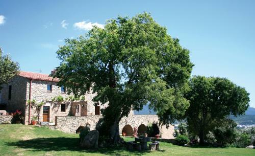Can Palau