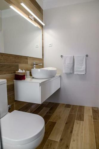 Luxurious Villa Rejo