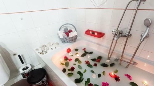 Apartamento Elisabeth House