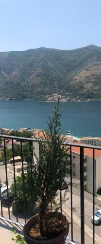 Stunning Kotor Bay 3 Bdr Apartment