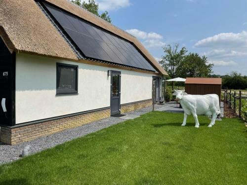 Farm Lodge 675
