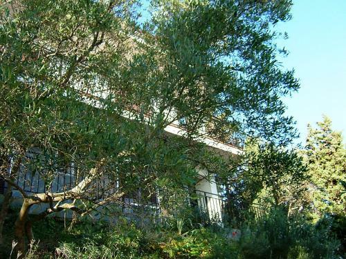 Holiday Home Panorama 01
