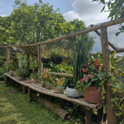 Finca Villa Rosa