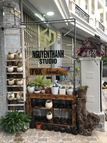 Hostal Fox Homestay
