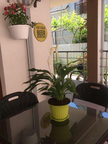 Hotel Cottage Euro Style