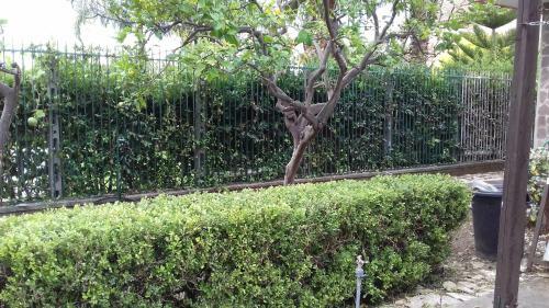 Case E Giardini
