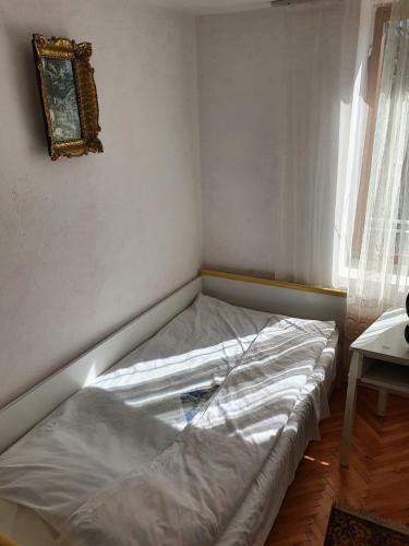 Hostal Nesovic
