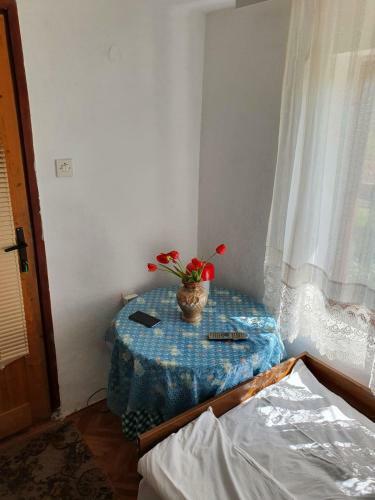 Hostal Nesovic