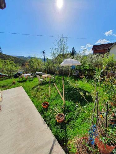 Hostal Nesovic