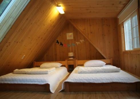 Teddybear Pension