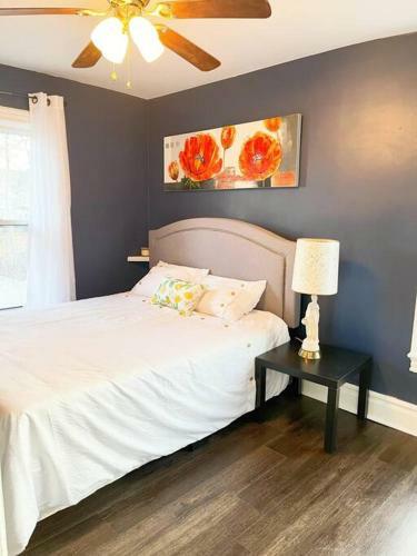 Cozy Suite