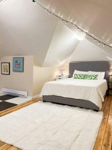 Cozy Suite